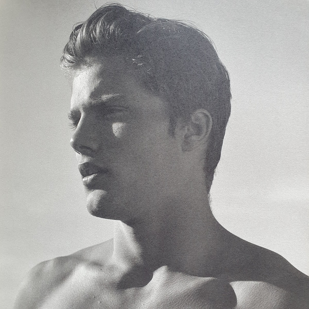 Bear Pond Beaux Books