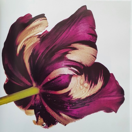Irving Penn. A Career in Photography | Beaux Books