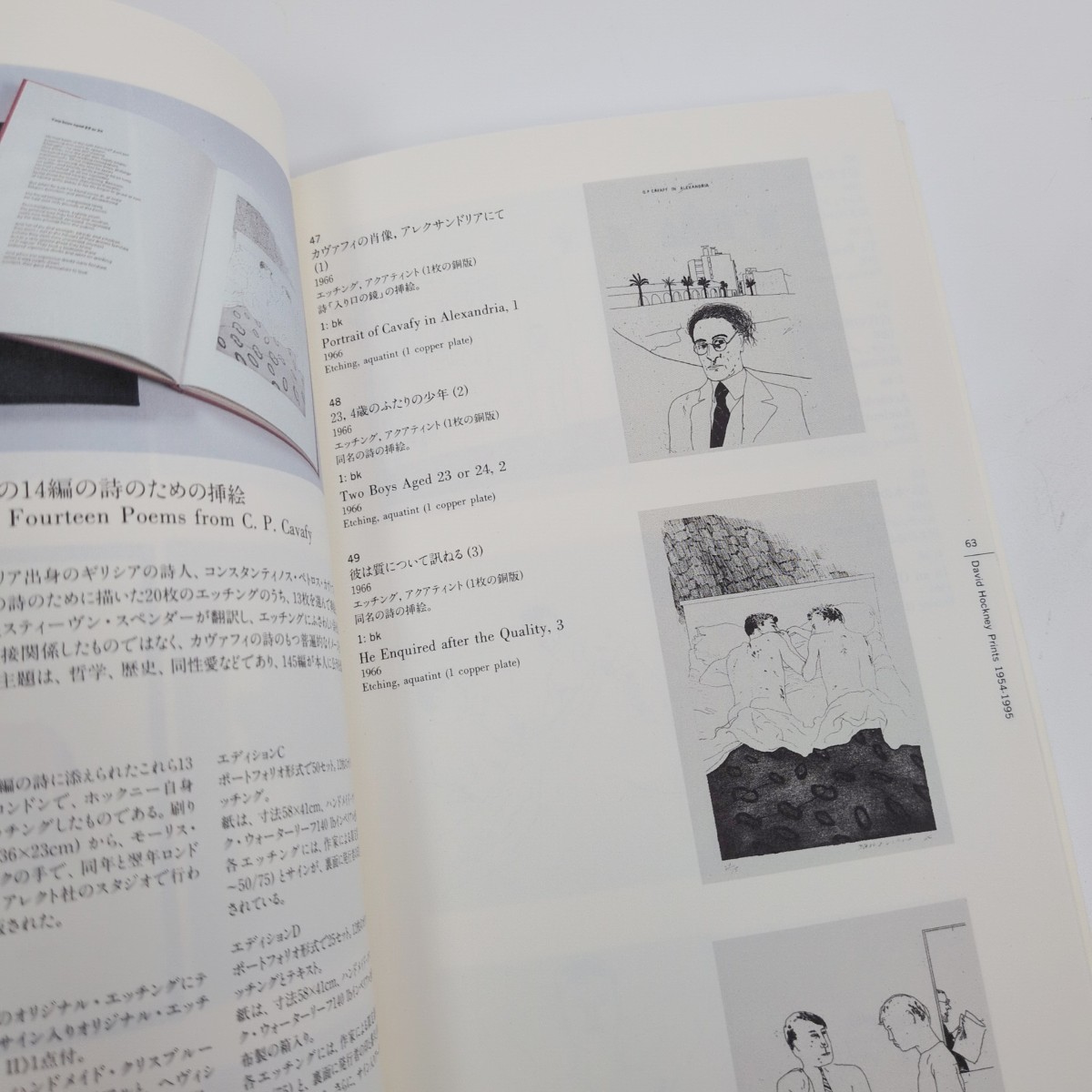 David Hockney Prints 1954-1995 | Beaux Books